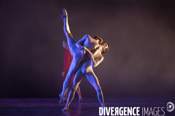 The dante project de wayne mcgregor