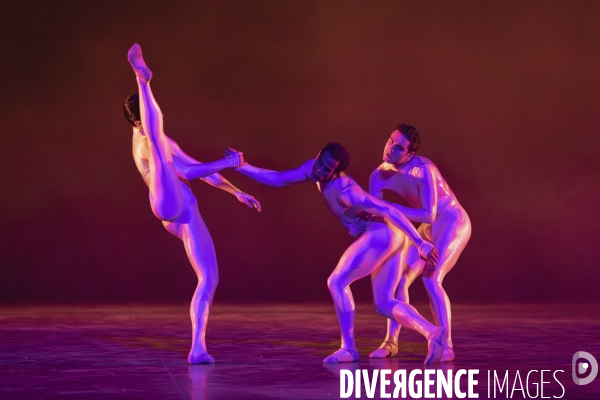 The dante project de wayne mcgregor