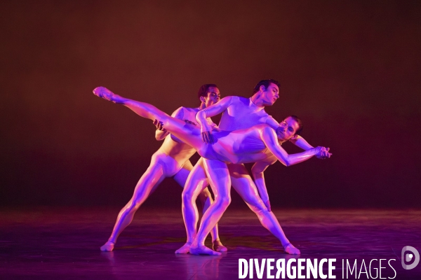 The dante project de wayne mcgregor