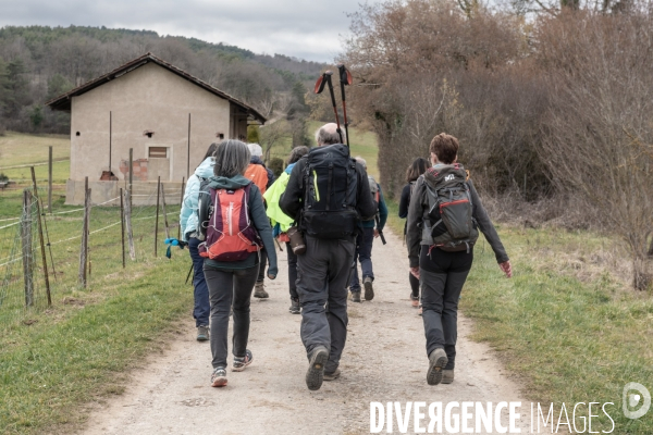 Randonnee dans les vignes bourguignonnes