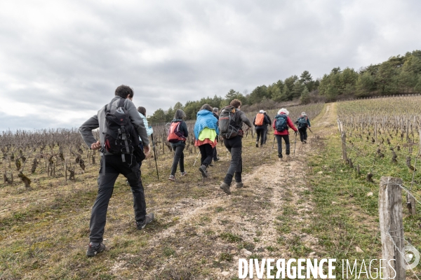 Randonnee dans les vignes bourguignonnes