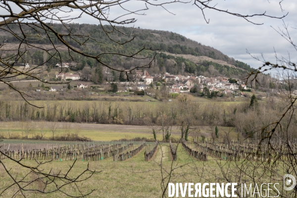 Randonnee dans les vignes bourguignonnes