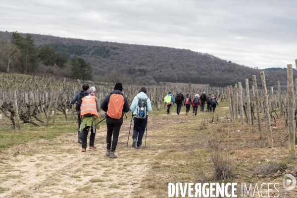 Randonnee dans les vignes bourguignonnes