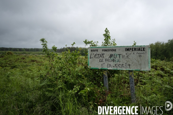 Les soulèvements de la terre contre le projet de l autoroute A134/A133 au festival des bâtons dans les routes.