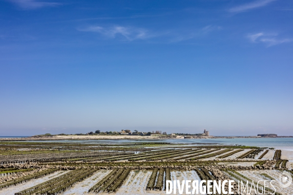 Parcs à huîtres de Saint-Vaast-la-Hougue