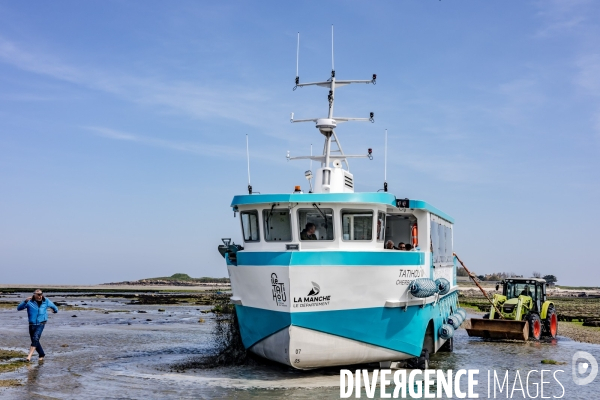 Parcs à huîtres de Saint-Vaast-la-Hougue