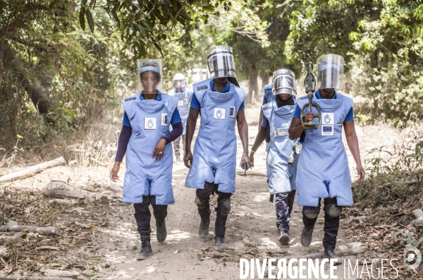 Deminage en casamance, senegal.