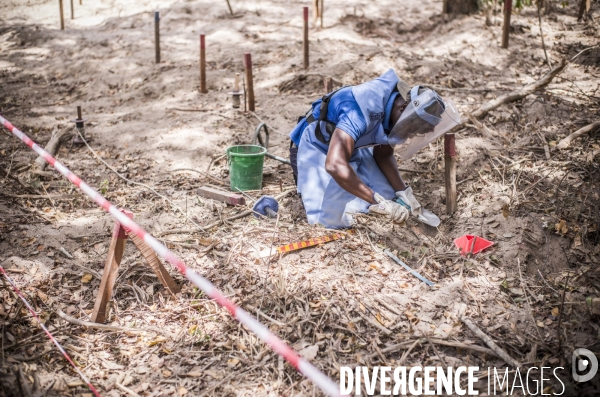 Deminage en casamance, senegal.