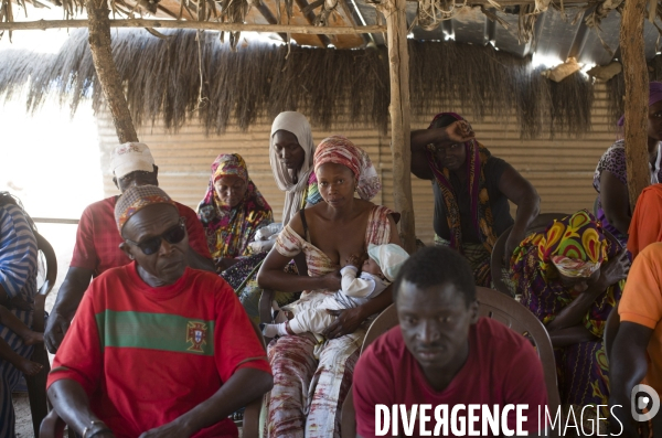 Deminage en casamance, senegal.