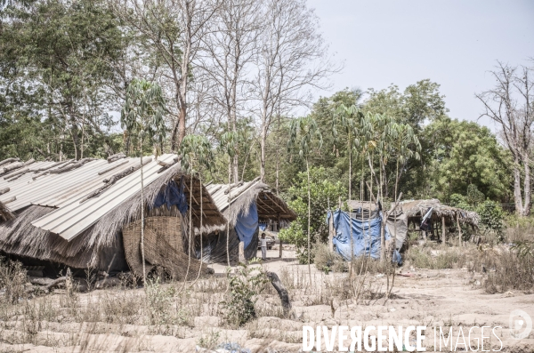 Deminage en casamance, senegal.