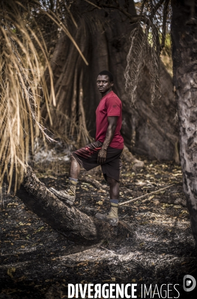 Deminage en casamance, senegal.