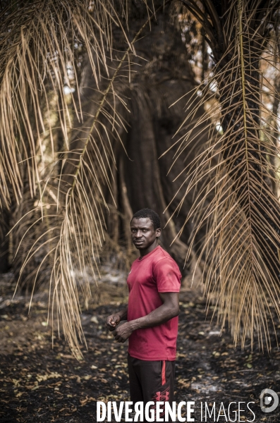 Deminage en casamance, senegal.