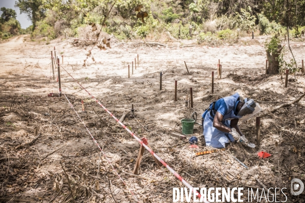 Deminage en casamance, senegal.