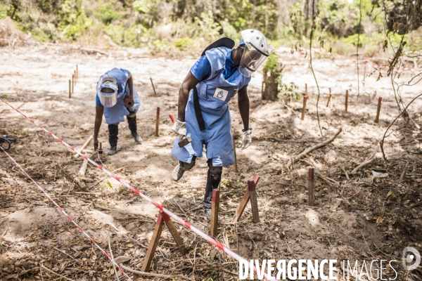 Deminage en casamance, senegal.
