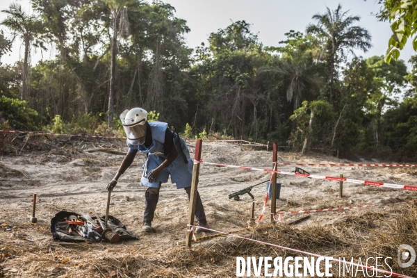 Deminage en casamance, senegal.