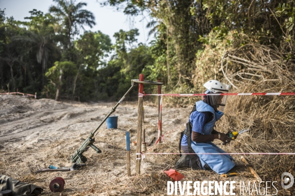 Deminage en casamance, senegal.