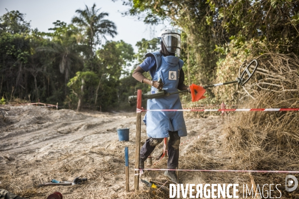 Deminage en casamance, senegal.