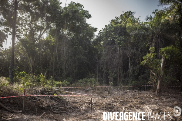 Deminage en casamance, senegal.