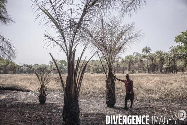 Deminage en casamance, senegal.