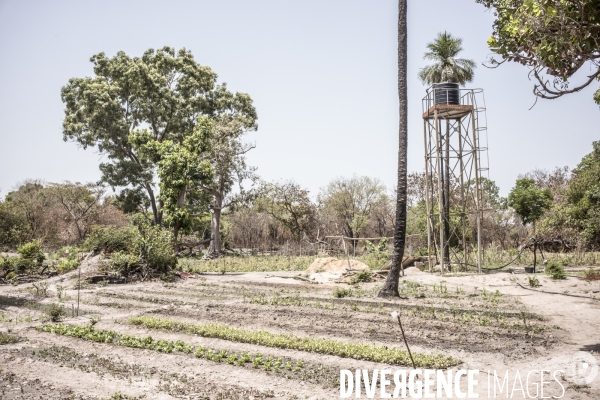 Deminage en casamance, senegal.