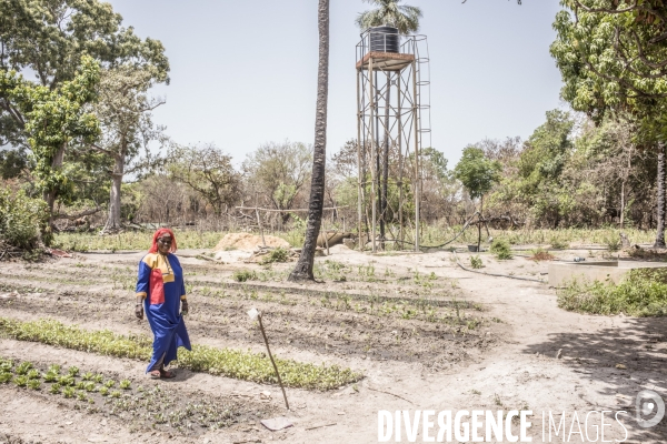 Deminage en casamance, senegal.