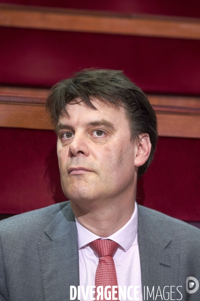 CESE ,  Le Travail dans tous ses états
