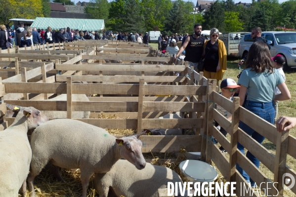 Comice agricole de Conches en Ouche