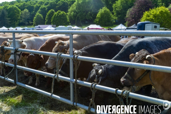 Comice agricole de Conches en Ouche