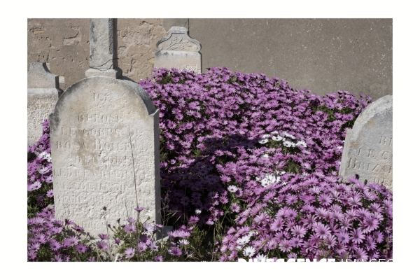 Ile de Ré - Mai 2023