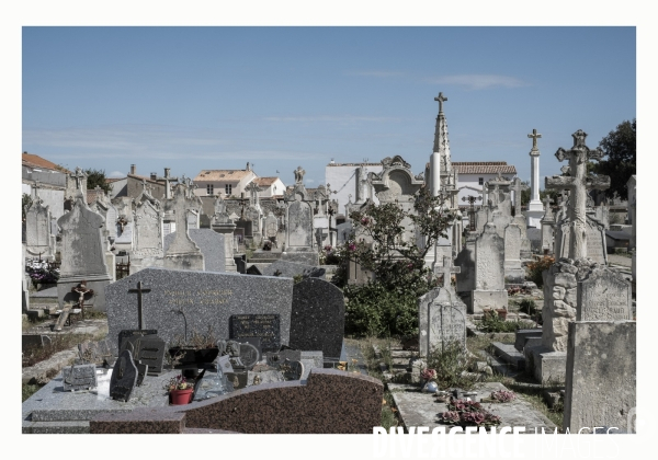 Ile de Ré - Mai 2023