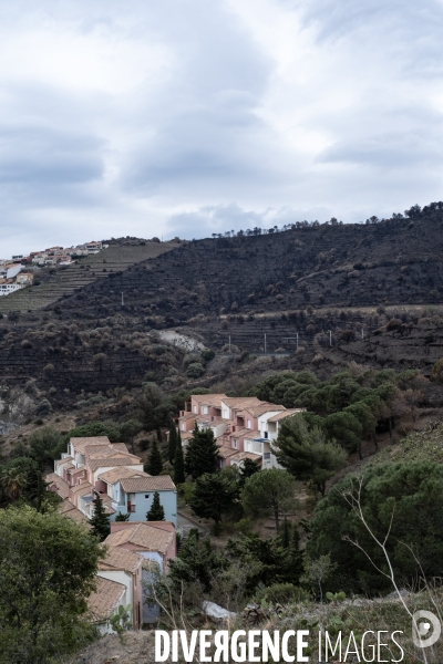 Illustrations après l incendie de Cerbère