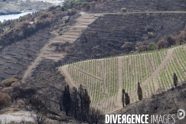 Illustrations après l incendie de Cerbère