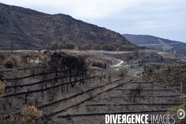 Illustrations après l incendie de Cerbère