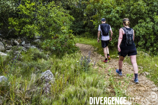 Trail au Pic Saint-Loup