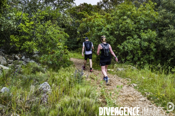 Trail au Pic Saint-Loup