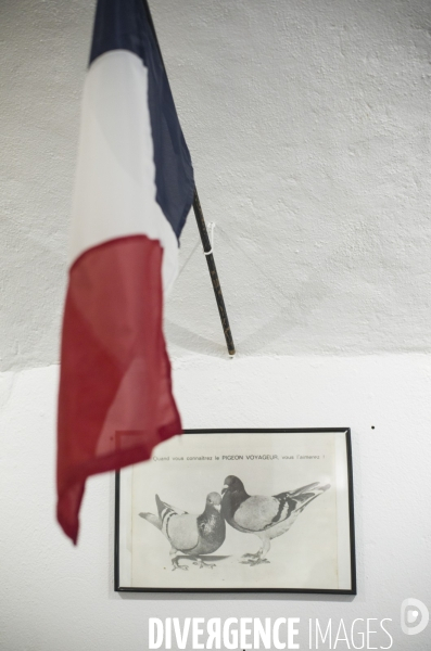 Dernier colombier militaire d europe, sur le mont valerien.