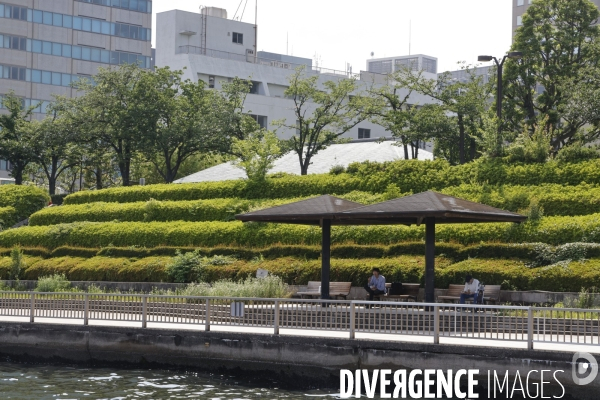 Croisiere nihombashi a tokyo