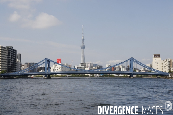 Croisiere nihombashi a tokyo