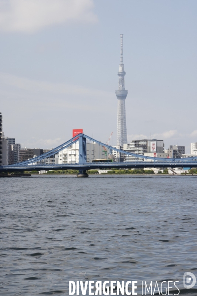 Croisiere nihombashi a tokyo