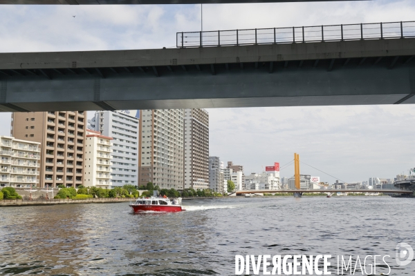 Croisiere nihombashi a tokyo
