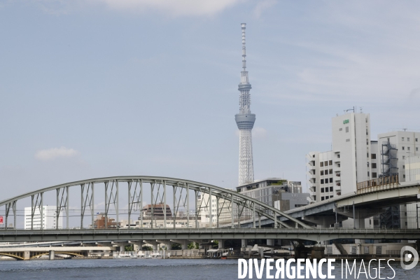 Croisiere nihombashi a tokyo