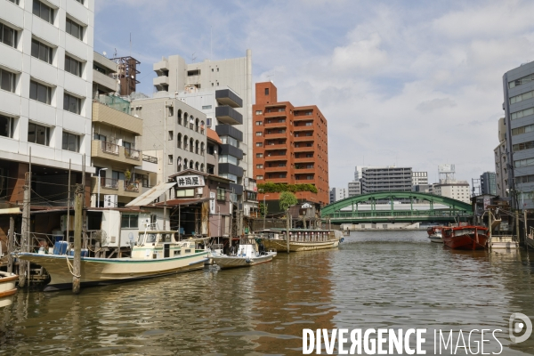 Croisiere nihombashi a tokyo