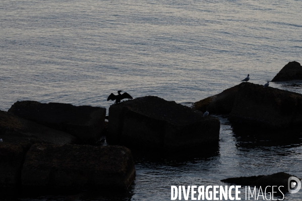 Syracuse. Sicile.