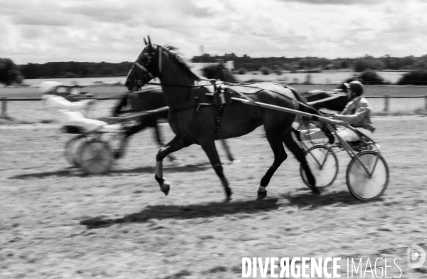 Courses hippiques sur l hippodrome de Vernon