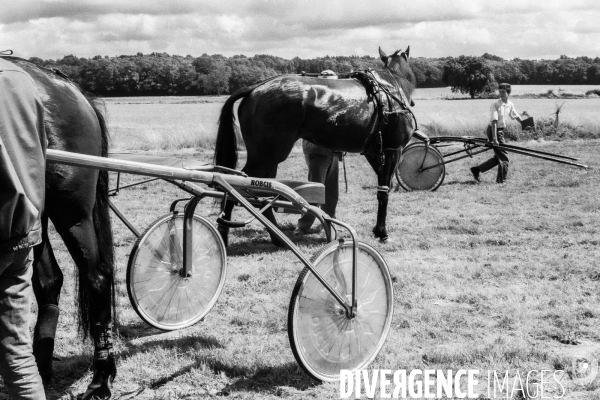 Courses hippiques sur l hippodrome de Vernon