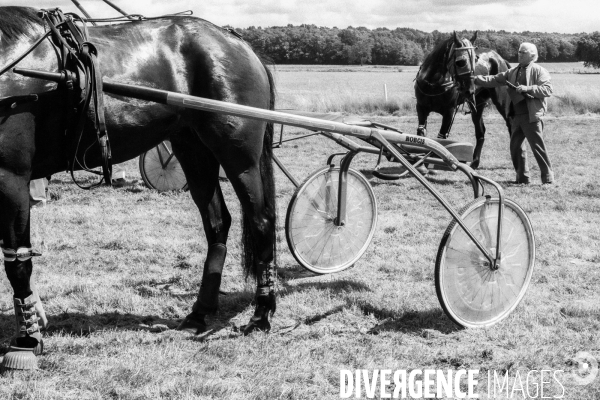Courses hippiques sur l hippodrome de Vernon
