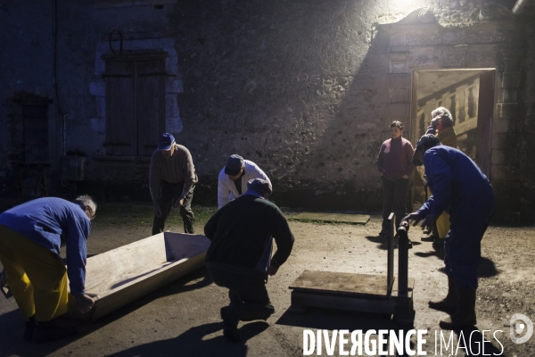 Tradition du  tue cochon  dans les Landes