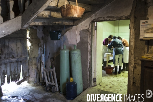 Tradition du  tue cochon  dans les Landes
