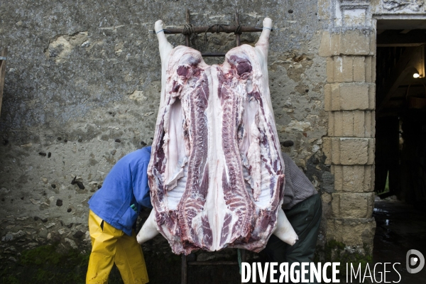 Tradition du  tue cochon  dans les Landes