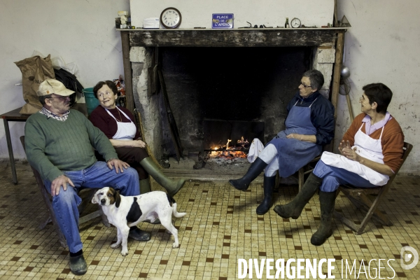Tradition du  tue cochon  dans les Landes